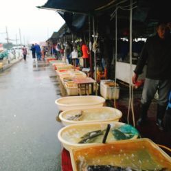 無(wú)錫小溪橋水產(chǎn)批發(fā)市場(chǎng) 地址、電話、營(yíng)業(yè)時(shí)間與美食探尋指南